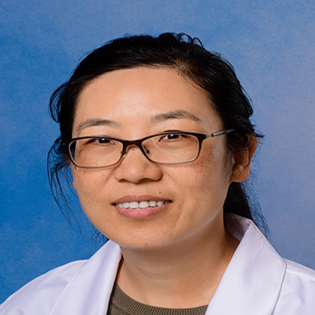 Yuexiu Wu, M.D.